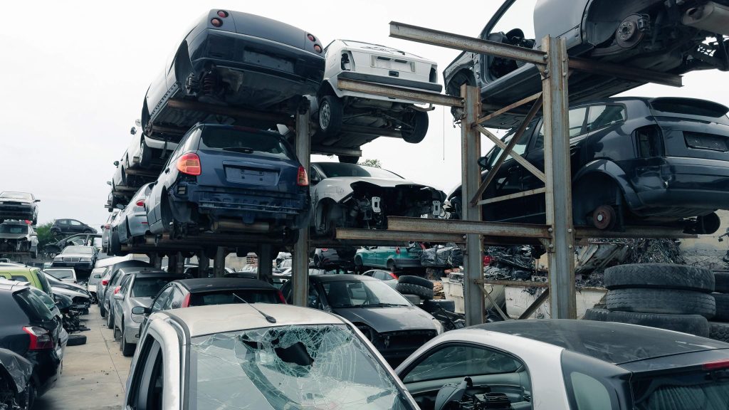Open vs Enclosed Auto Transport Naples, FL: Which Option Is Right for You?
